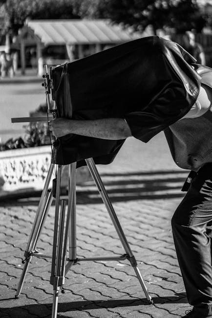 Interfața unui laptop care afișează slide-uri educaționale despre nutriție